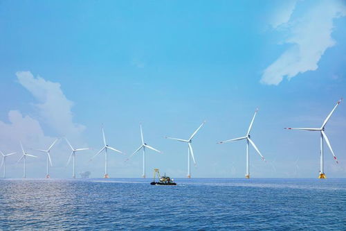 向海筑網(wǎng) 5G助推海上風(fēng)電高質(zhì)量發(fā)展