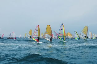 海上揚(yáng)帆，陸路通達(dá) 國際貨運(yùn)代理業(yè)務(wù)的雙重變奏